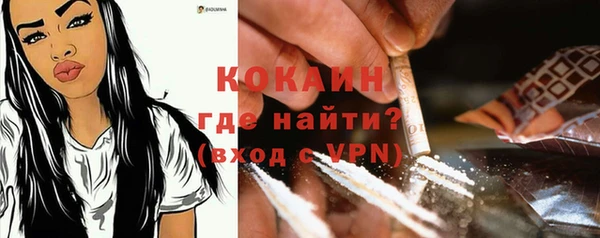 apvp Богданович