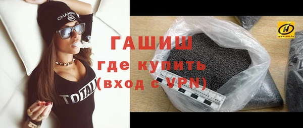 гидра Богородск