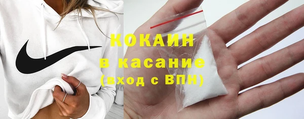 гидра Богородск