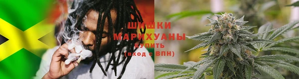 гидра Богородск