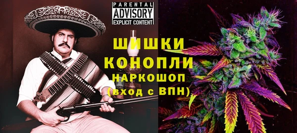 гидра Богородск