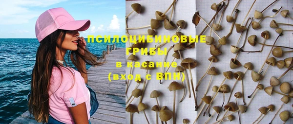 apvp Богданович