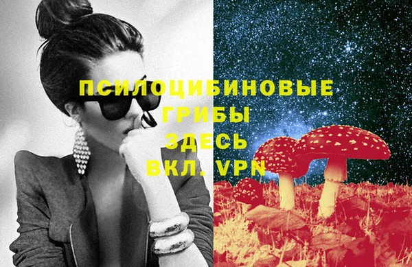 ALPHA PVP Богородицк