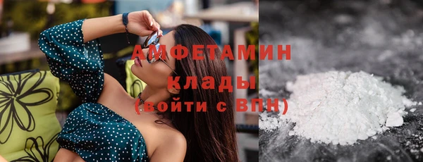 гидра Богородск