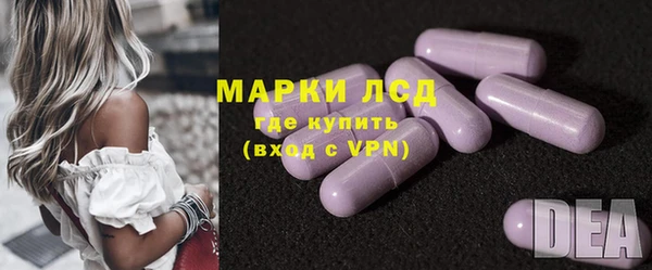 гидра Богородск