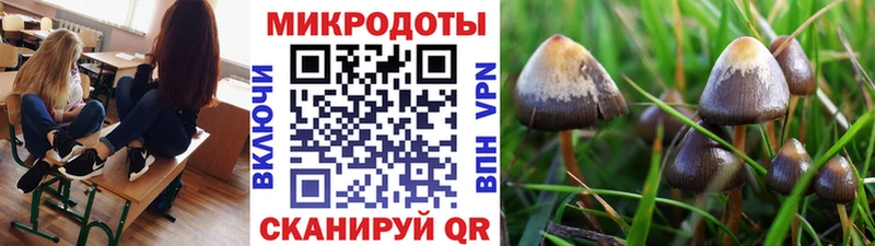 Галлюциногенные грибы прущие грибы  ОМГ ОМГ ТОР  Дальнегорск  цены  